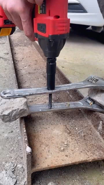 五金工具與寵物用品的奇妙結(jié)合 打造愛寵專屬舒適空間