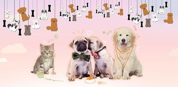 寵物用品與食品 為愛寵打造健康舒適生活