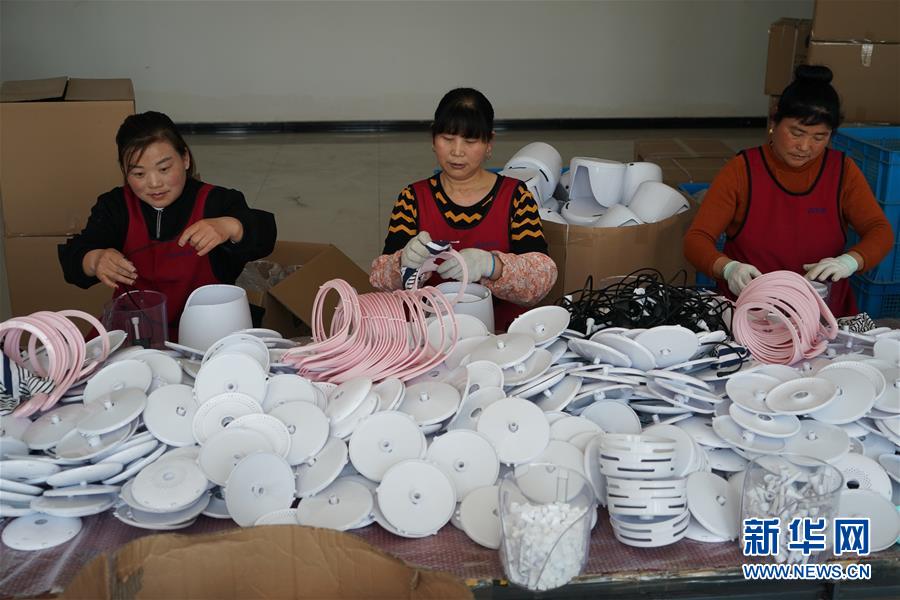 江蘇耿車 從“廢塑加工場”到“寵物用品創業夢工廠”的綠色蝶變